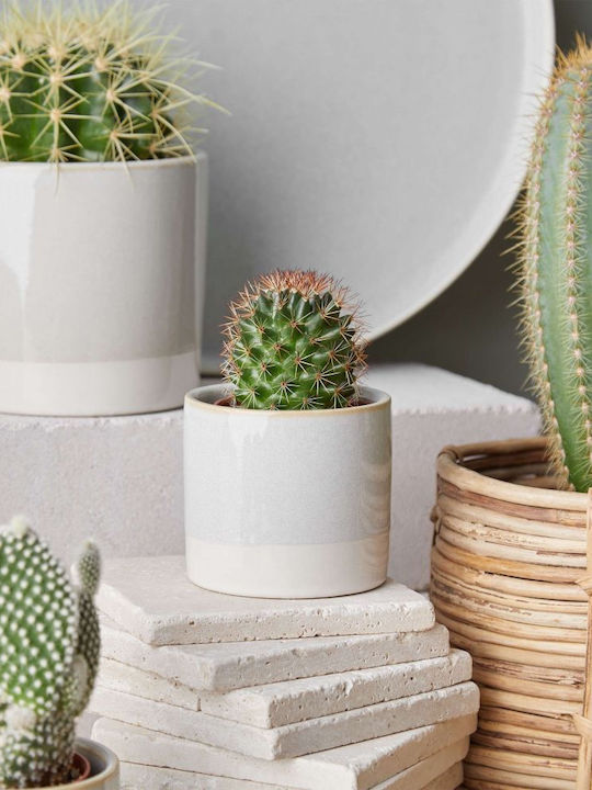 Early Spring Plant Pot D10cm Gray Ceramic Length 10 X Width 10 X Height 9.5 Cm