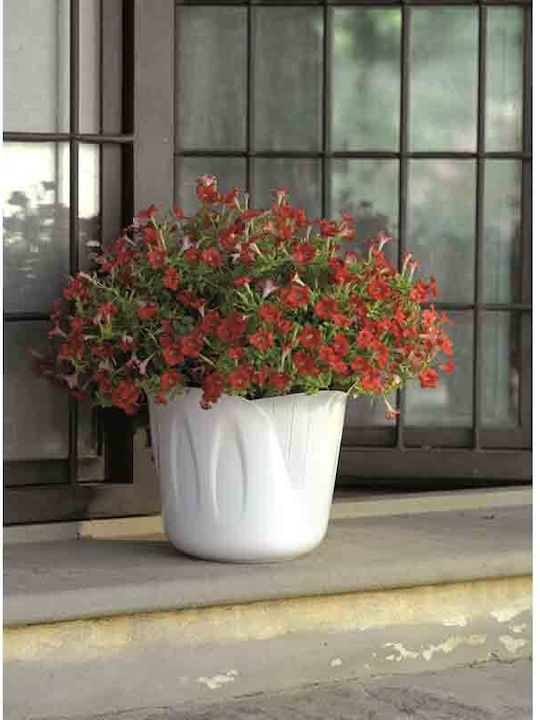 Bama Plant Pots Plastic Ø15x12cm 1lt Design 3 Sizes Brown Mimosa Pot Italy
