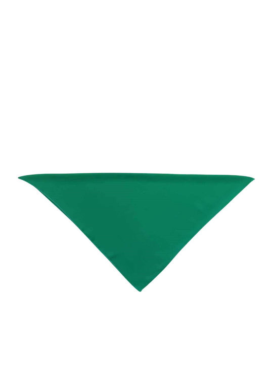 Afoi Giannakopouloi Women's Scarf Green