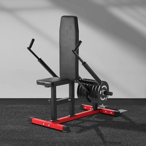 Vevor Biceps/Triceps Equipment Without Weights