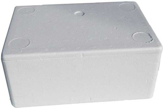 Polystyrene Cooler Box No1f 15x15x15