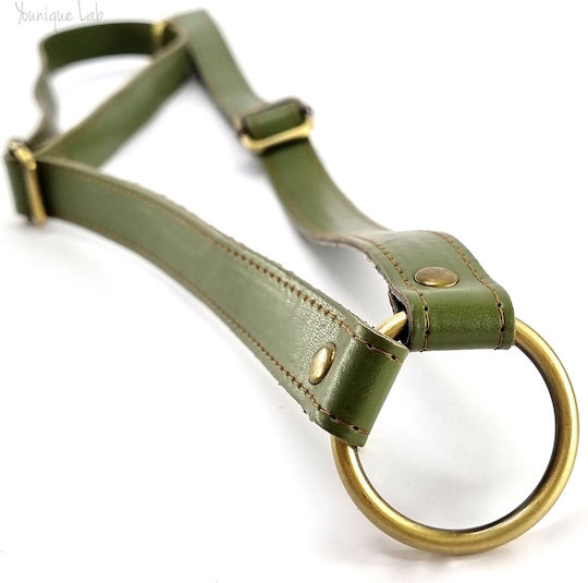 Set Verstellbarer Rückenriemen Grün Khaki Bronze Metallische Elemente