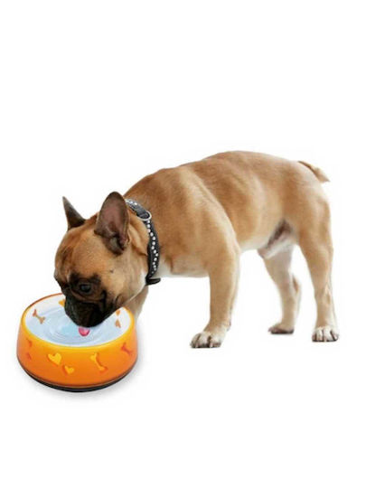 All For Paws Love Plastic Bowl Food & Water for Dog & Cat with Base 970ml 18cm (Various Colors)