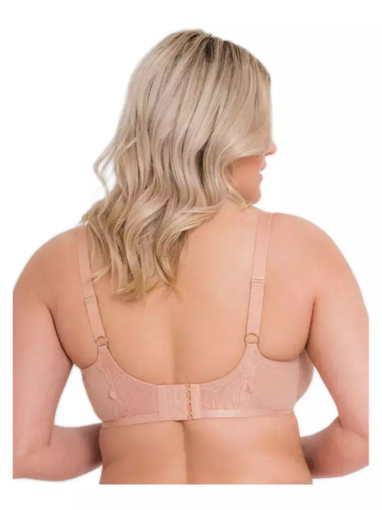 Curvy Kate Curvy Kate