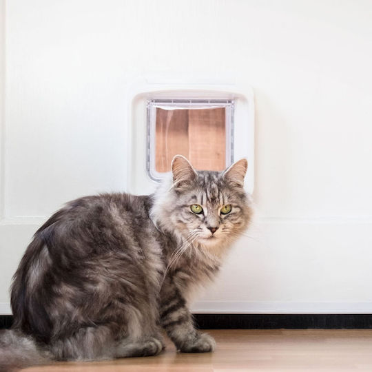 Sureflap Tür für Hunde aus Plastik in Weiß Farbe 25 x 25 x 25cm