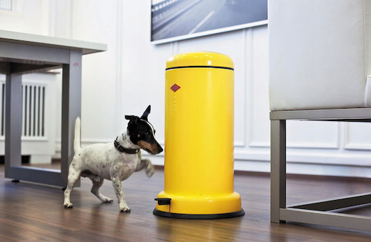 Trash Basket 20l Baseboy White Matt Wesco
