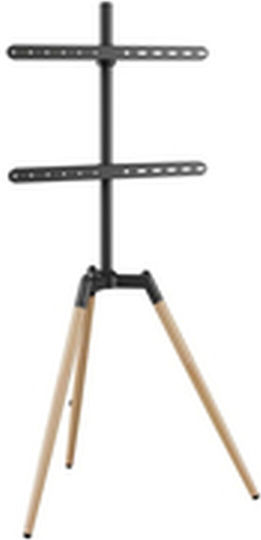 Gembird TVS-65S-01 Wall TV Mount