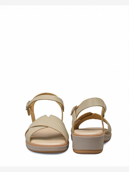 Zakro Collection