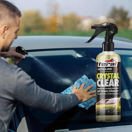 Feral Detailing Pro Cleaner Spray Car Windows 750ml