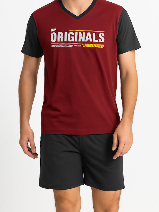 Lion Bordeaux