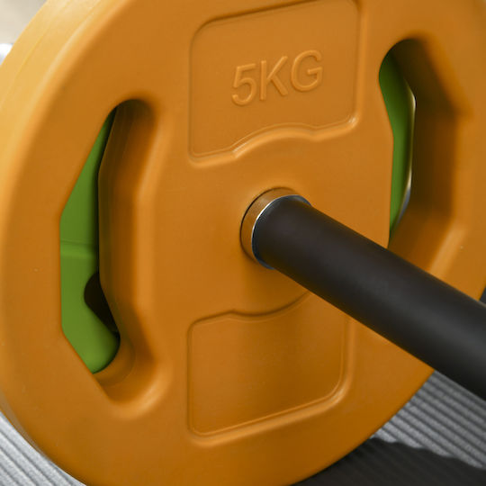 HomCom Straight Bar Ø28mm 20kg 28cm Length without Collar
