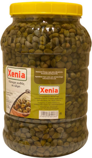 Xenia Capere 1buc
