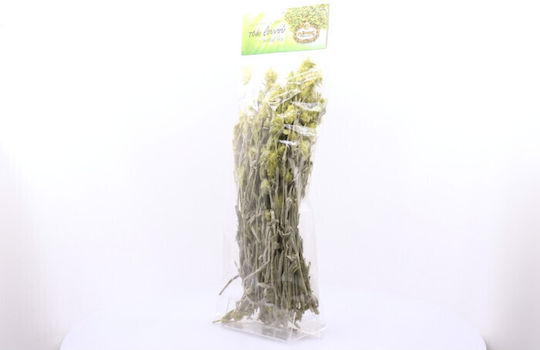 Ιlios Organic Product Mountain Tea 50gr