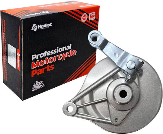 Rear Motorcycle Brake Panel