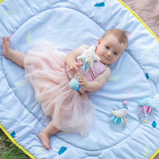 Taf Toys Rattle Rainstick for 0++ Months