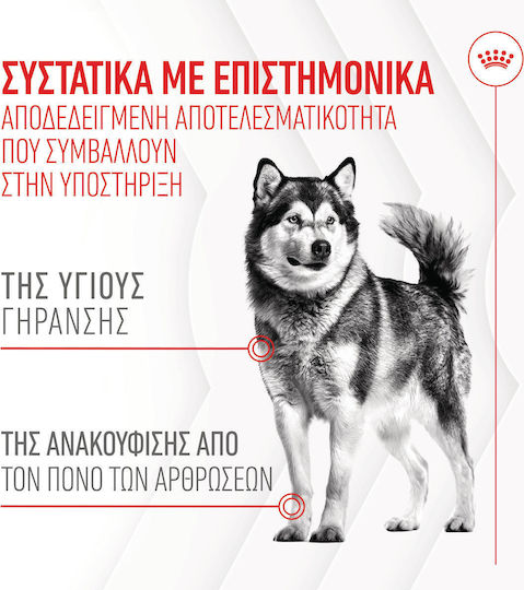 Royal Canin Joint & Ageing Chews Λιχουδιά Σκύλου 240gr για Αρθρώσεις