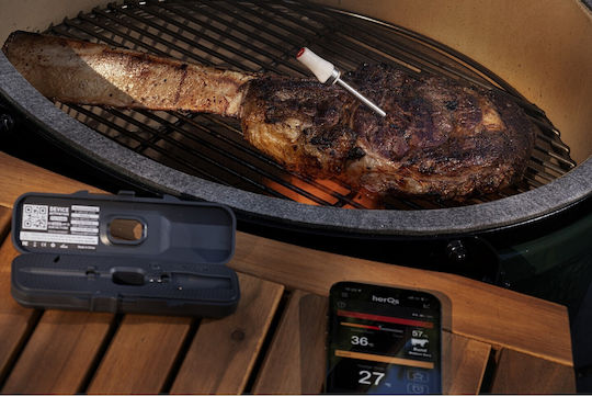Herqs Kabellos Digital Thermometer BBQ mit Nadel