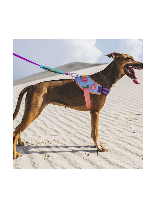 Σαμαρακι Σκυλων Zeedog Flyharness Galaxy Size 4 62-86 Cm 23-30kg