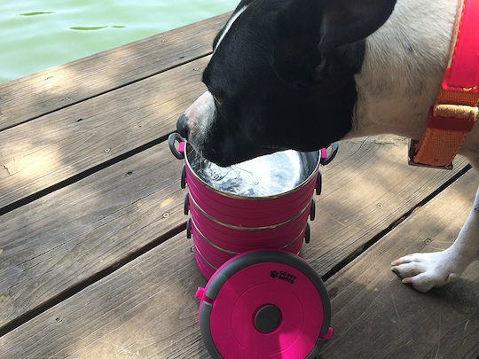 Healthy Human Pet Bento Edelstahl Schalen Futter & Wasser für Hund & Katze 900ml in Rosa Farbe 2Stück