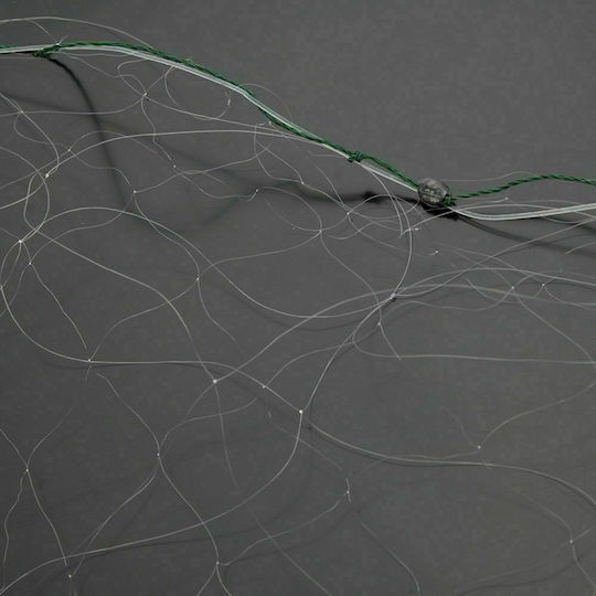 Fishing Net Rigged Mono Monofilament 0.25 70 Millimeters 2 Meters Height 100 Meters Length