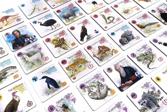 Board Game Evolutionary Insight Compendium for 2-5 Players 8+ Years Old (PL) Rebel Games