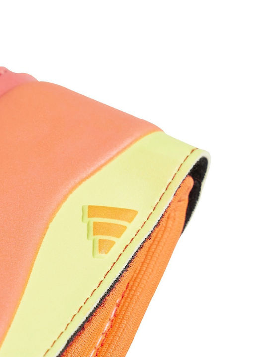 adidas Predator Gl Mtc Mănuși portar Adulți Colorate