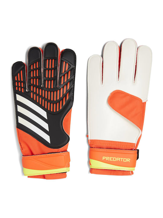 adidas Predator 20 Training Adults Goalkeeper Gloves Multicolour