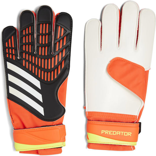 adidas Predator 20 Training Голмански ръкавици за Възрастни Многоцветни