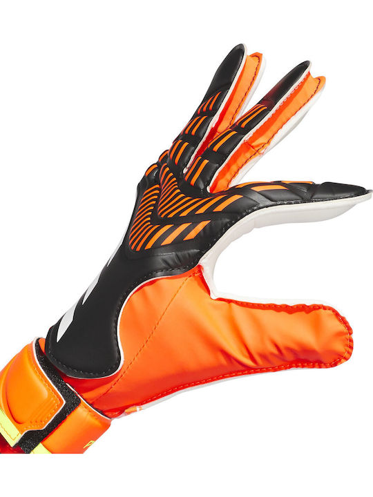 adidas Predator 20 Training Adults Goalkeeper Gloves Multicolour