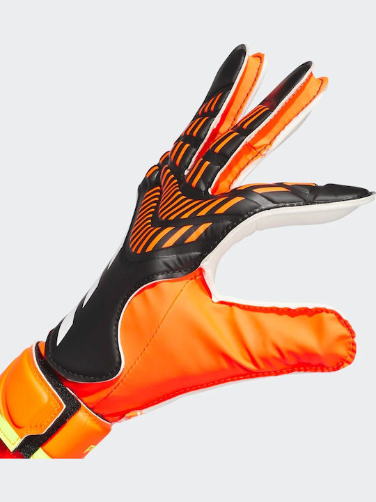 adidas Predator 20 Training Adults Goalkeeper Gloves Multicolour
