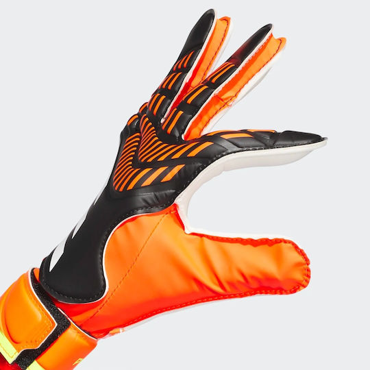 adidas Predator 20 Training Голмански ръкавици за Възрастни Многоцветни