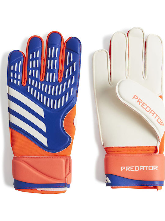 adidas Predator Match Голмански ръкавици за Възрастни Син