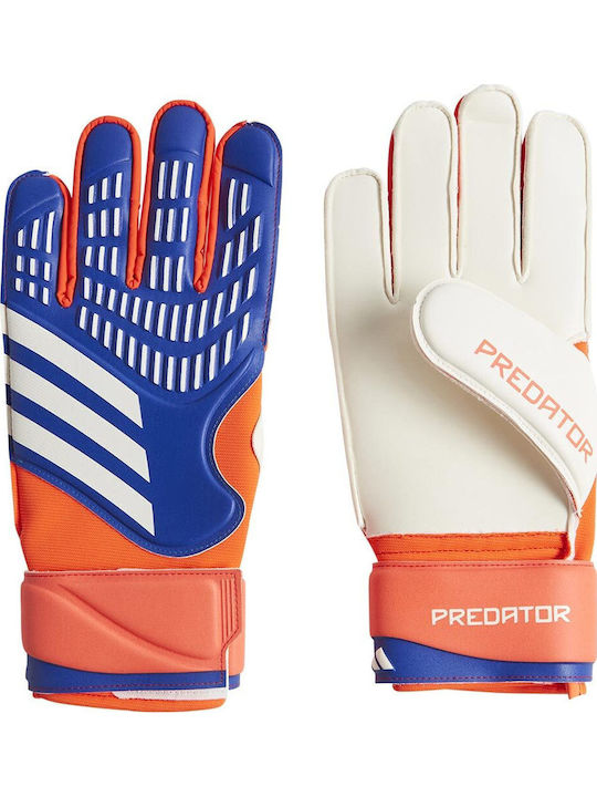 adidas Predator Match Голмански ръкавици за Възрастни Син