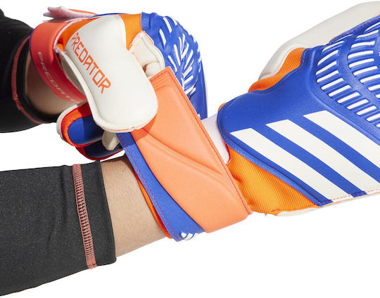 adidas Predator Match Mănuși portar Adulți Albastru
