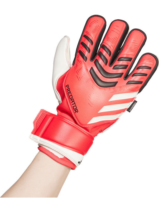 adidas Predator GL MTC FS Torwarthandschuhe Erwachsene Rot