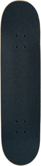 Element Trip Out Complete Shortboard 8" Multicolour W4CPA4ELP1
