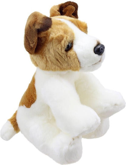 Σκυλος Jack Russell