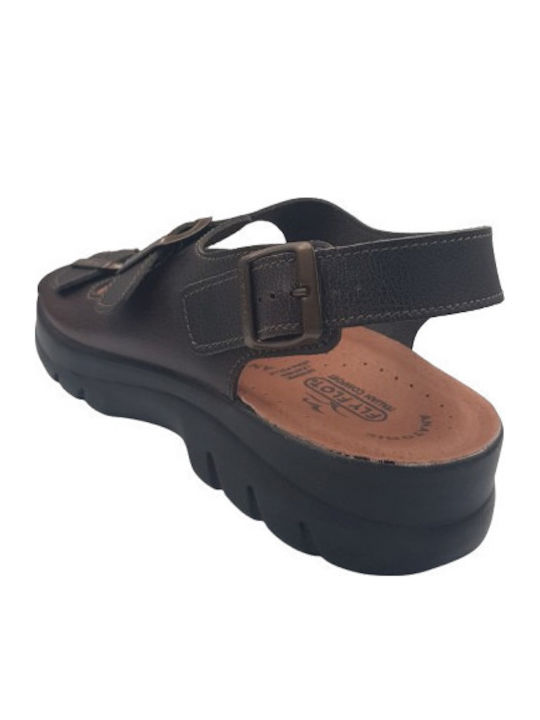 Leder Herrensandalen in Braun Farbe