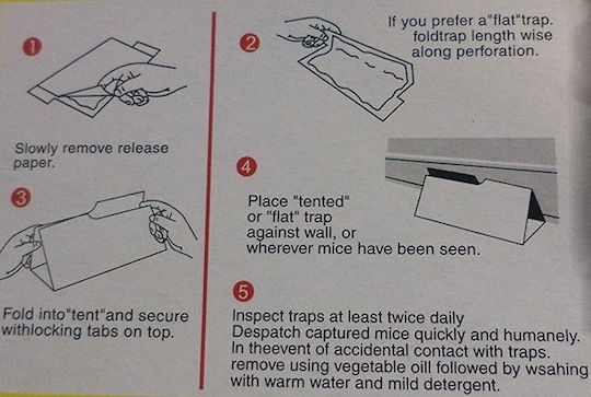 Glue Trap for Mice Ecological Set of 2 Pieces Size 18 x 14 Cm 102534