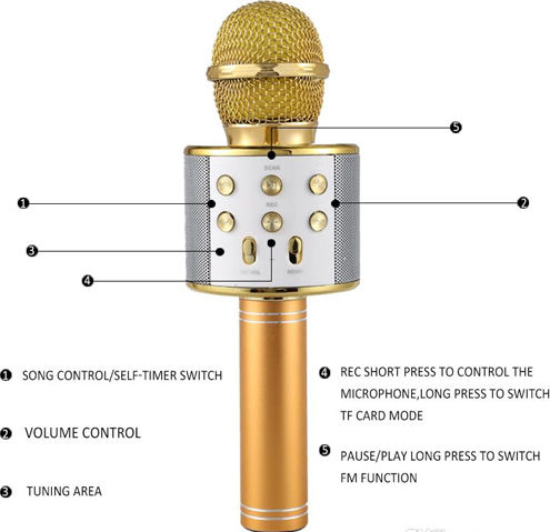 WSTER Μικρόφωνο Karaoke Ασύρματο WS-858 WS-858 Χρυσό