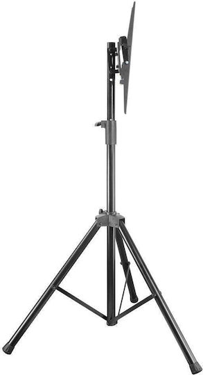 Techly ICA-TR17T Βάση Τηλεόρασης Δαπέδου έως 70" και 35kg