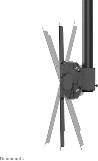 Suport TV Neomounts Cl35-440bl16l 177,8 cm 70" Negru