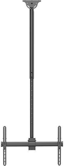 Suport TV Neomounts Cl35-440bl16l 177,8 cm 70" Negru