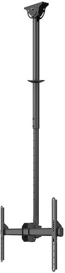 Suport TV Neomounts Cl35-440bl16l 177,8 cm 70" Negru