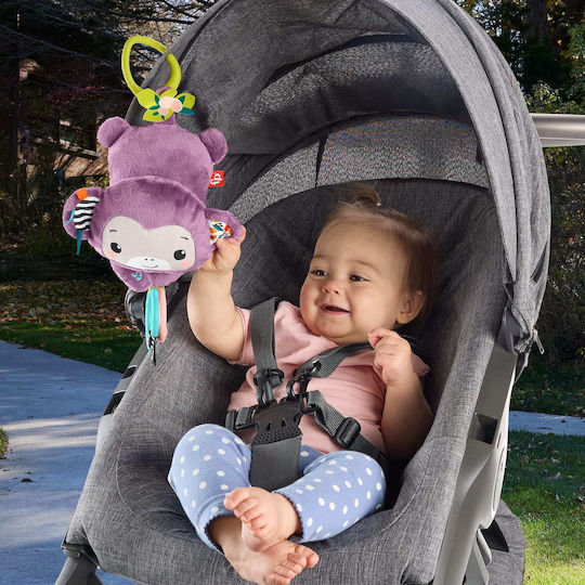 Fisher Price Pendant Toy for Crib and Stroller with Music for 0++ Months
