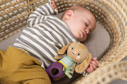 Taf Toys Pendant Toy for Car with Teether Jenny The Bunny 12995