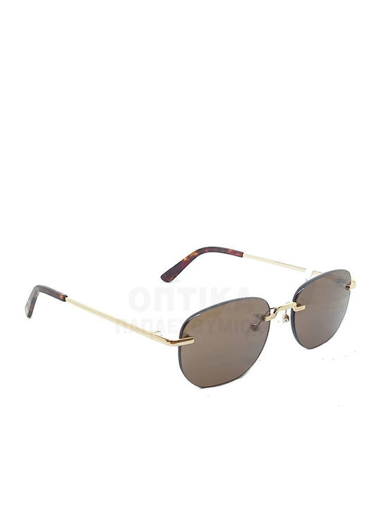 The Glass of Brixton Unisex Sunglasses with Gold Metallic Frame and Brown Lens BS258 10