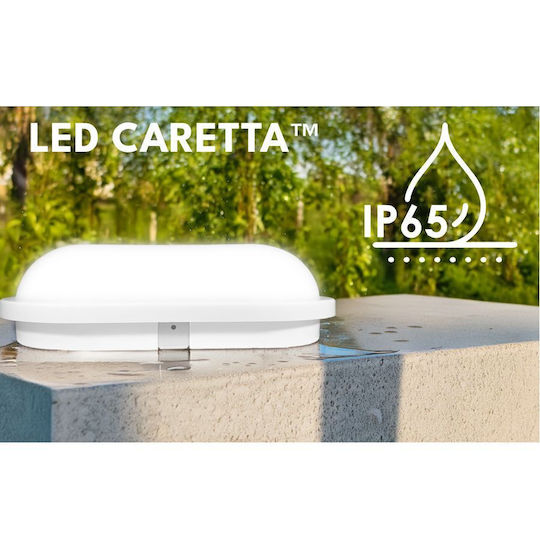 Elvhx Wall-Mounted Outdoor Turtle Light LED IP65 16W with Cool White Light