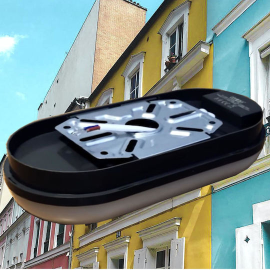 Elvhx Wall-Mounted Outdoor Turtle Light LED IP65 16W with Cool White Light