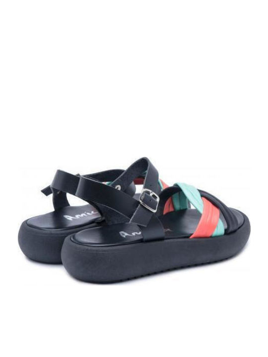 Amica 3202